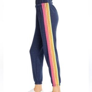Aviator Nation Navy with Neon Strip Sweatpants (size M)